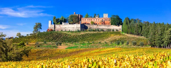 城とトスカーナ、キャンティ地方、イタリアのブドウ畑. — ストック写真