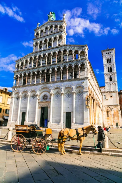 Визначні пам'ятки Італії - базиліка Сан-Мікеле в Лукка, Тоскана — стокове фото
