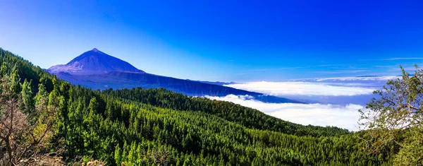 Veduta del vulcano Teide. Tenerife. Isole Canarie — Foto Stock