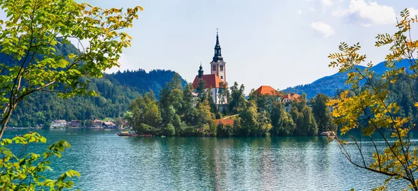 Idylický přírodní scenérie - krásné kouzelné jezero Bled ve Slovinsku — Stock fotografie