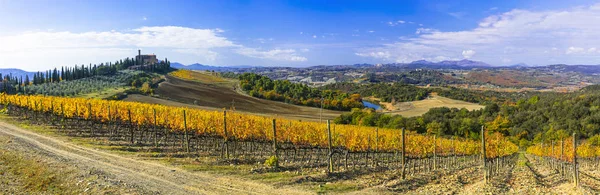 Campo tradicional e paisagem da bela Toscana. Castelo de Banfi, Itália . — Fotografia de Stock