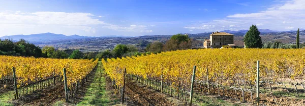 Geweldig herfstlandschap - gouden wijngaarden van Toscane, beroemde wijnstreek, Italië. — Stockfoto
