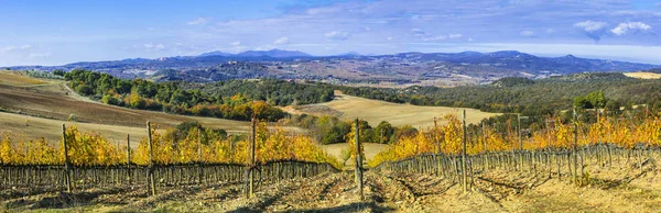 Чудовий мальовничий пейзаж Тоскани. Vineyards of Montalcino.Italy. — стокове фото