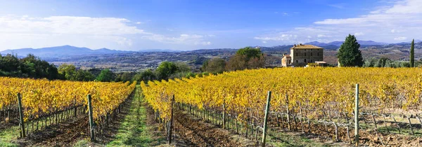 Erstaunliche herbstliche kulisse - goldene weinberge der toskana, berühmte rebsorte region.italy. — Stockfoto