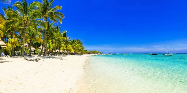 Idyllic tropikal adası. Palmiye ağaçları ve turkuaz deniz manzarası Mauritius.. — Stok fotoğraf