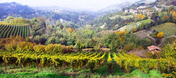 Autumn countryside with rows of colorful vineyards in Piedmont, North Italy. — Stock fotografie
