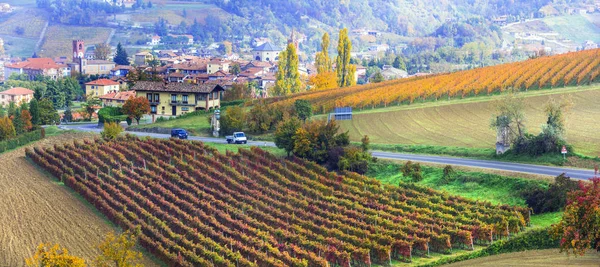Herbstliche Landschaft mit Reihen farbenfroher Weinberge im Piemont, — Stockfoto