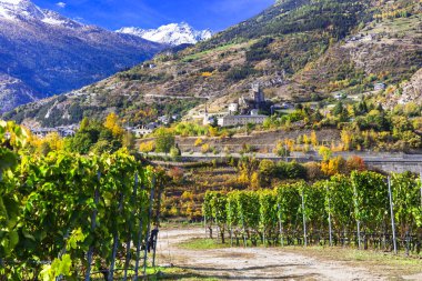 Valle d 'Aosta kaleleri ve üzüm bağları manzaralı Alp dağları, İtalya.