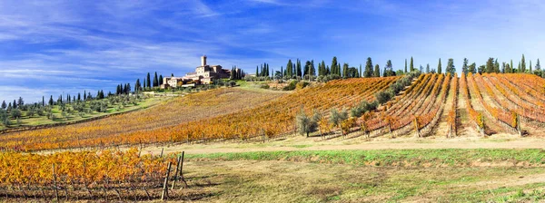 Tuscany Nin Sonbahar Renklerinde Üzüm Bağları Kaleleri Banfi Kalesi — Stok fotoğraf