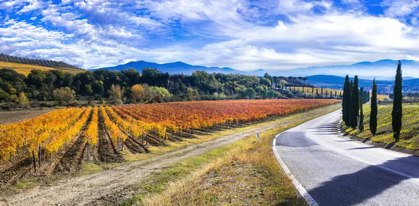 Paisajes Paisajes Tradicionales Hermosa Toscana Vista Con Coloridos Viñedos Montañas —  Fotos de Stock