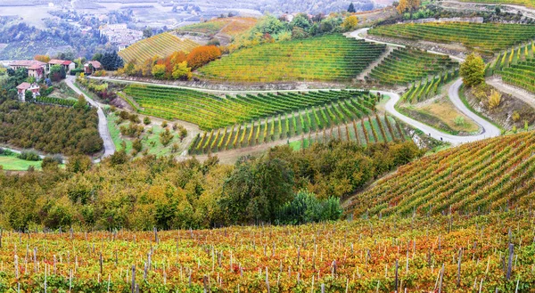 Fantastiska Stora Fält Vingårdar Höstfärger Piemonte Norditalien — Stockfoto