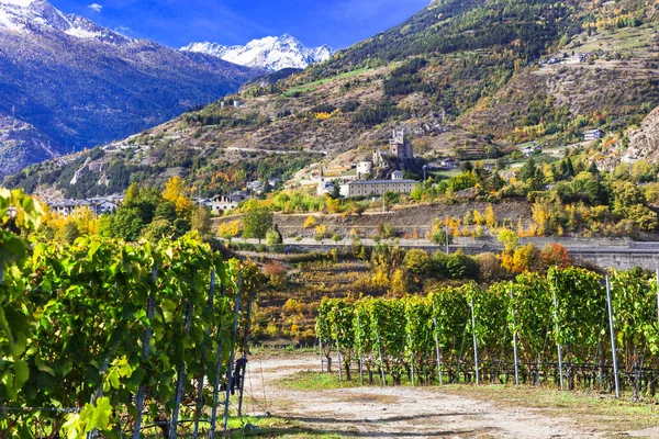 Kastelen Wijngaarden Van Valle Aosta Met Schilderachtige Alpen Berg Italië — Stockfoto