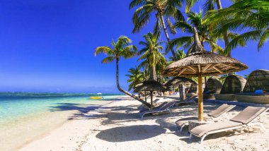 Tropikal tatiller dinleniyor. Sahil şatosu Mauritius 'un sakin plaj manzarası..