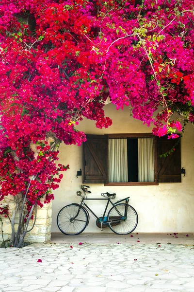 Encantadora Calle Casa Decoración Con Bicicleta Vieja Árbol Rojo Flor — Foto de Stock