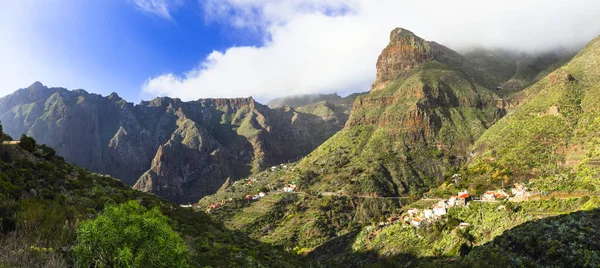 화산의 인상적 스페인 카나리아 아름다운 마스카라 — 스톡 사진