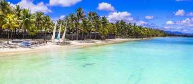  Mauritius Adası 'ndaki tropikal plaj manzaralı Trou aux Bich' ler.