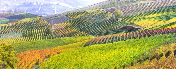 皮德蒙特风景如画的乡村 有秋天色彩的葡萄园 意大利葡萄酒产区 — 图库照片