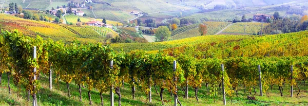 皮德蒙特风景如画的乡村 有黄色的葡萄园和小村庄 意大利葡萄酒产区 — 图库照片