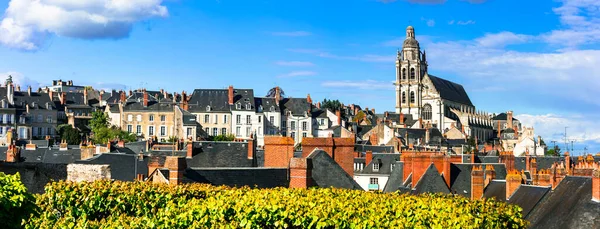 Sehenswürdigkeiten Und Reisen Frankreich Loire Tal Mittelalterliche Stadt Blois Und — Stockfoto