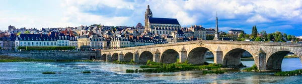 法国的旅行和地标 中世纪城镇布鲁伊斯 卢瓦尔河流域著名的皇家城堡 — 图库照片