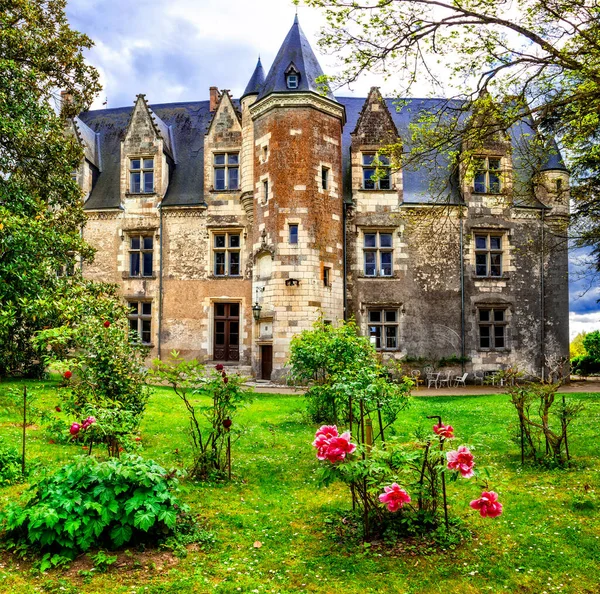 Francia Turismo Viajes Hermosos Castillos Del Valle Del Loira Elegante — Foto de Stock