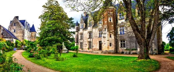 Gyönyörű Romantikus Kastélyok Loire Völgy Kastély Montresor Híres Kastélyok Nevezetességek — Stock Fotó