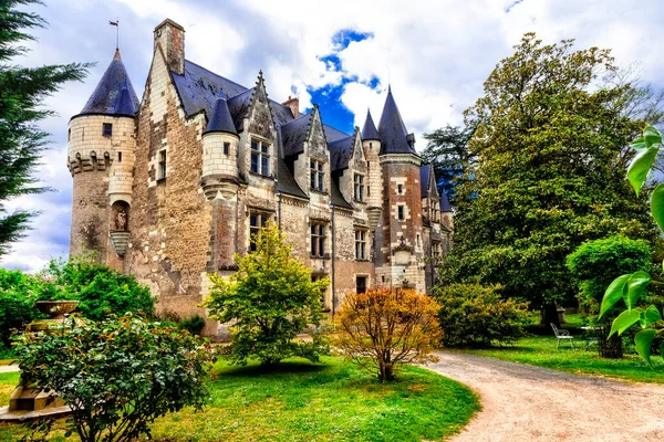 Gyönyörű Romantikus Kastélyok Loire Völgy Montresor Kastély Híres Kastélyok Nevezetességek — Stock Fotó