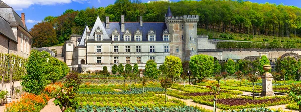 Europas Vackraste Slott Slott Villandry Med Fantastiska Botaniska Trädgårdar Loiredalen — Stockfoto