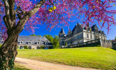 Loire Vadisi 'nin güzel kaleleri Bourdaisiere Şatosu, Fransa.