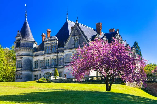 Романтические Красивые Замки Долины Луары Замок Бурдайзиер Франция — стоковое фото
