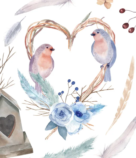 Акварель с птицами, перьями, цветами, гнездовой коробкой . — стоковое фото