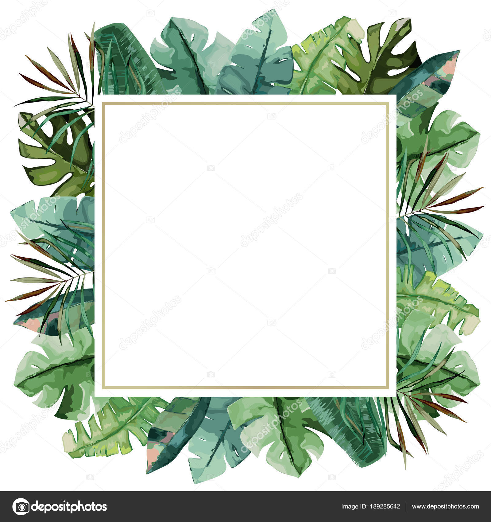Watercolor frame with tropical palm leaves. Vector illustration — Stock ...