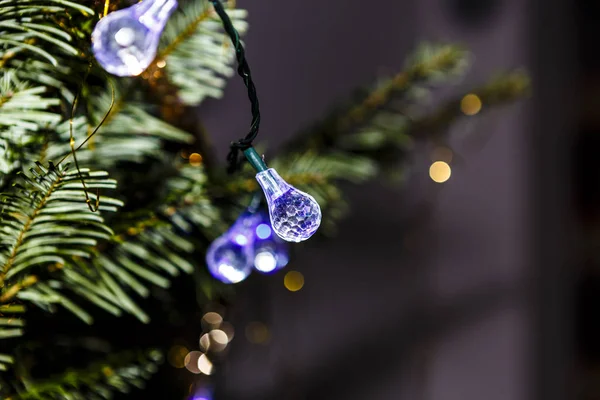 Christmas light on tree — Stock Photo, Image