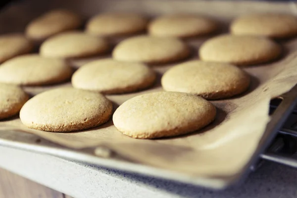 Preparing homemade gingerbread — Stock Photo, Image