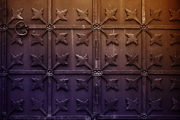 Old metal wrought iron doors — Stock Photo, Image