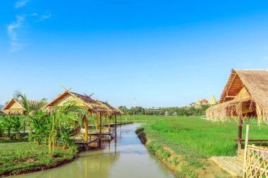 Dinlenme kulübeleri bambu ve sazdan yapılmış çatılar pirinç tarlalarında dinlenmek için..