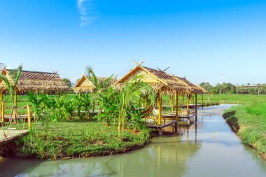 Dinlenme kulübeleri bambu ve sazdan yapılmış çatılar pirinç tarlalarında dinlenmek için..