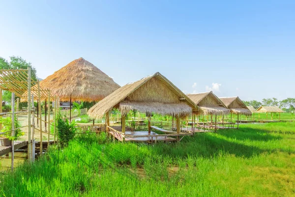 The resting huts constructed from bamboo and thatched roofs for relaxing in the rice fields.