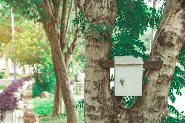 Kamu parkındaki ağaçta eski paslı elektrik kontrol kutusu..
