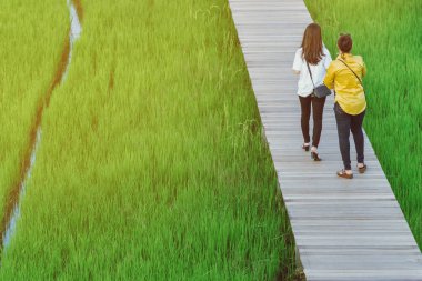 Güneş ufukta batmadan önce tarlalardan geçen bambu yolu boyunca yürüyen ve fotoğraf çeken iki kız arkadaşın arka görüntüsü..