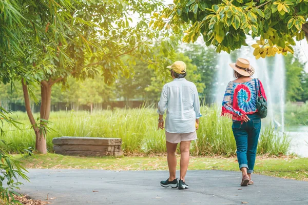 Rückansicht des Glücks Freundinnen gehen zusammen neben dem Brunnen im öffentlichen Park. — Stockfoto