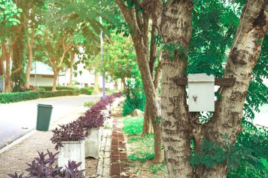 Kamu parkındaki ağaçta eski paslı elektrik kontrol kutusu..