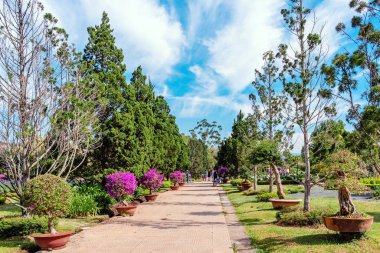 DALAT-VIETNAM-APRIL 27, 2019: 27 Nisan 2019 DALAT, Vietnam 'da ünlü çiçek parkının güzel manzarası.