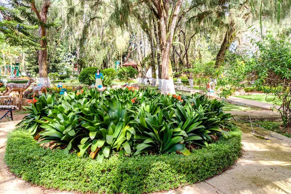 DALAT-VIETNAM-KWIECIEŃ 27, 2019: Piękna sceneria słynnego parku kwiatowego na 27 kwietnia 2019 w DALAT, Wietnam. — Zdjęcie stockowe