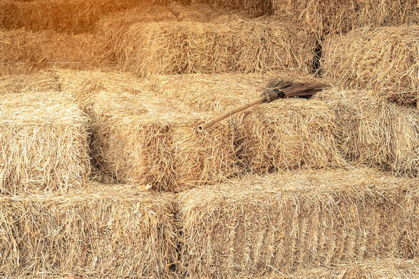 Наваленные стопки сухой соломы, собранной для корма животных. Стопка тюков сена с сухим тюком
.