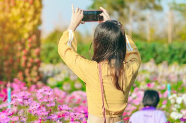 Mutluluk Turistleri Maple Garden 'da öğleden sonra çiçek açan güzel çiçeklerle fotoğraf çekerler. Kanchanaburi, Tayland 'da.