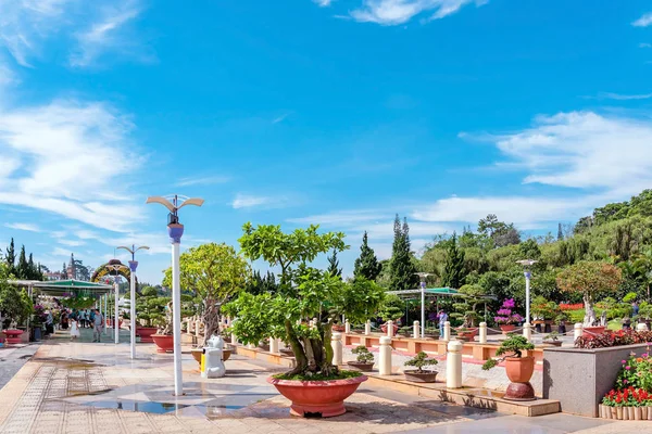 DALAT-VIETNAM-APRIL 27, 2019: 27 Nisan 2019 DALAT, Vietnam 'da ünlü çiçek parkının güzel manzarası.