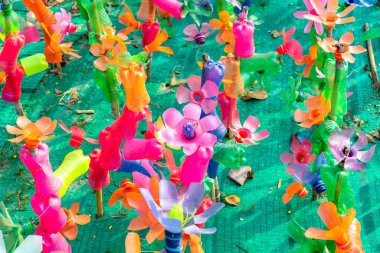 Plastik şişelerden yapılmış renkli plastik çiçekler bahçedeki çiçek süsü olarak kullanılıyor. Plastik şişe geri dönüştürüldü.