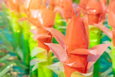 Plastik şişelerden yapılmış renkli plastik çiçekler bahçedeki çiçek süsü olarak kullanılıyor. Plastik şişe geri dönüştürüldü.