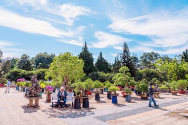 DALAT-VIETNAM-APRIL 27, 2019: 27 Nisan 2019 DALAT, Vietnam 'da ünlü çiçek parkının güzel manzarası.